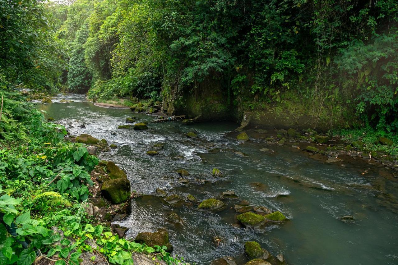 The Pyramid Ubud River Villas Payangan Exterior foto